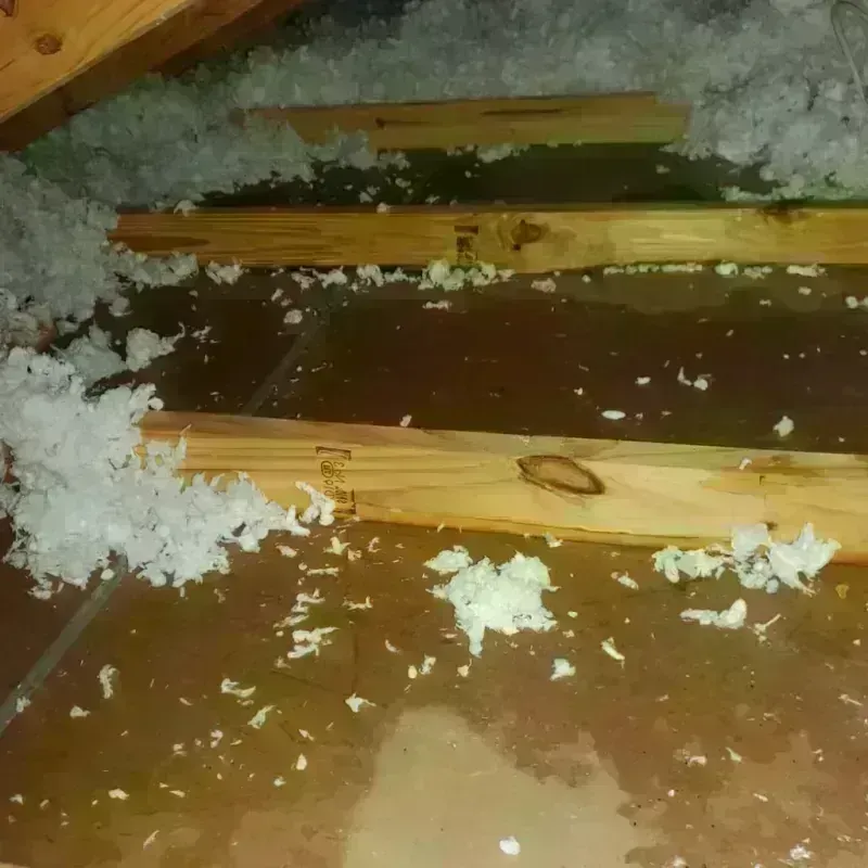 Attic Water Damage in Peekskill, NY